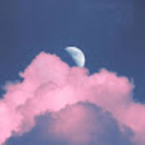 Meet your Posher, Sue